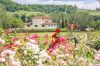 luxury villa rentals italy tuscany
