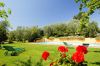 cottages for rent in tuscany italy Davide