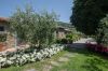 cottages for rent in tuscany italy Casorbica-salcotto